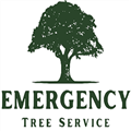 Tree Service Roswell
